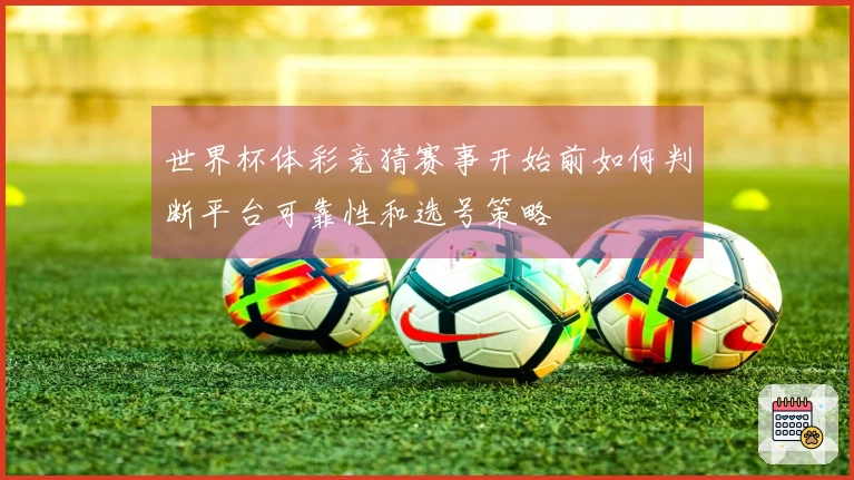 世界杯体彩竞猜赛事开始前如何判断平台可靠性和选号策略