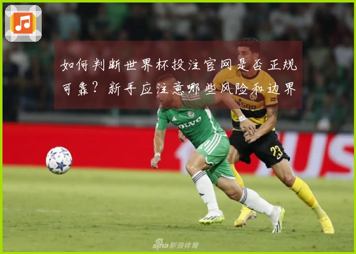 如何判断世界杯投注官网是否正规可靠？新手应注意哪些风险和边界