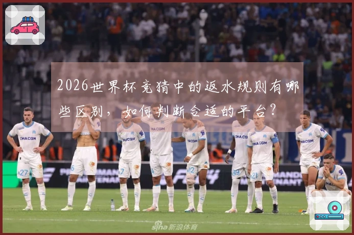 2026世界杯竞猜中的返水规则有哪些区别，如何判断合适的平台？