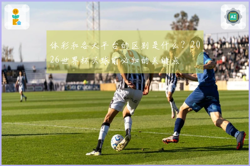 体彩和各大平台的区别是什么？2026世界杯买球前必知的关键点