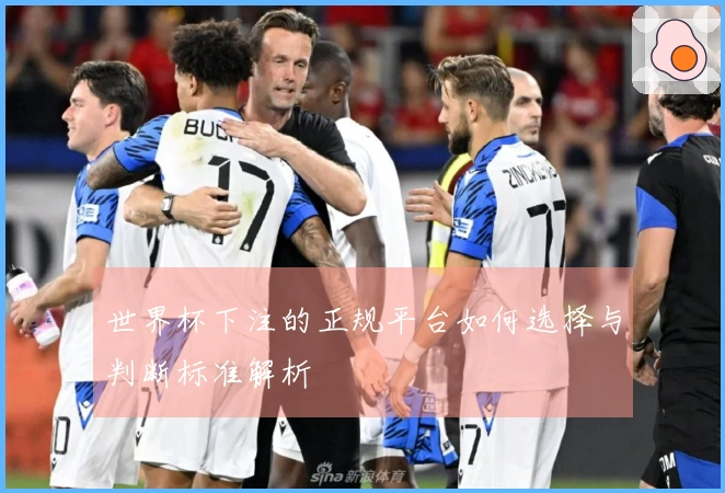 世界杯下注的正规平台如何选择与判断标准解析