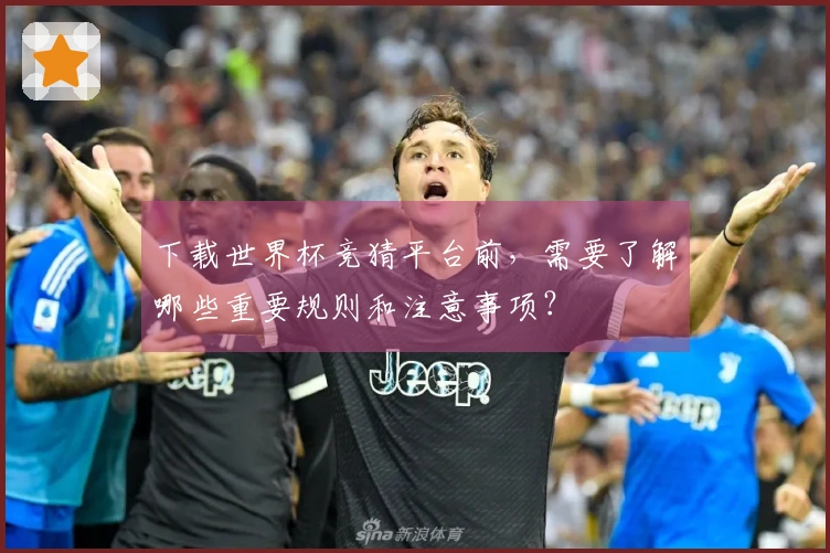 下载世界杯竞猜平台前，需要了解哪些重要规则和注意事项？