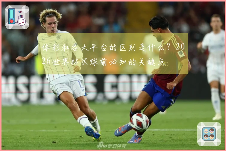 体彩和各大平台的区别是什么？2026世界杯买球前必知的关键点