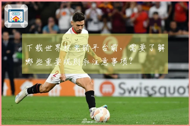 下载世界杯竞猜平台前，需要了解哪些重要规则和注意事项？