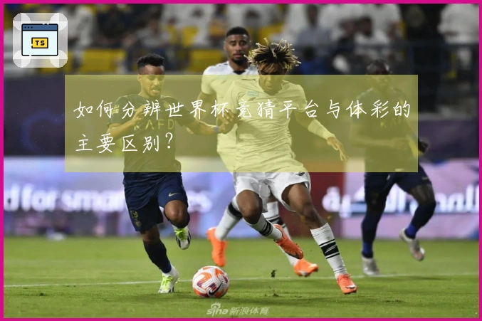 如何分辨世界杯竞猜平台与体彩的主要区别？