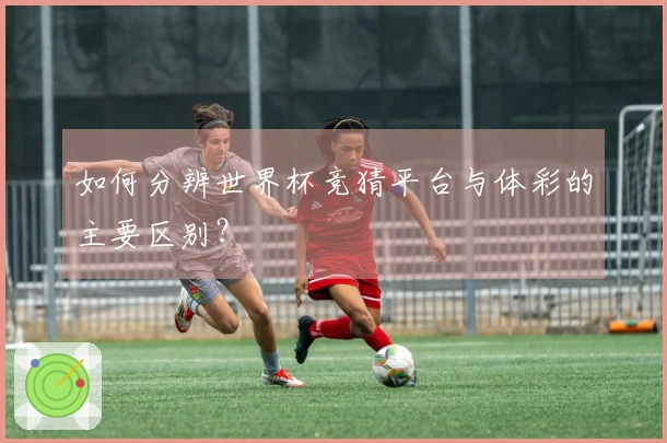 如何分辨世界杯竞猜平台与体彩的主要区别？