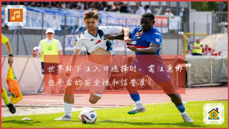 世界杯下注入口选择时，需注意哪些平台的安全性和信誉度？