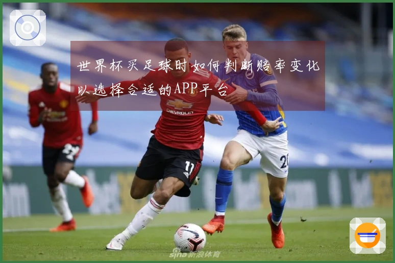 世界杯买足球时如何判断赔率变化以选择合适的APP平台
